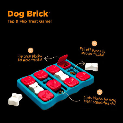 Pet Treasure Box Toy